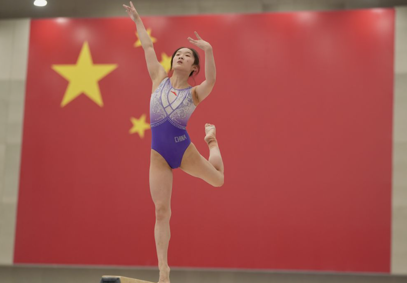 万博体育官方移动端应用分析